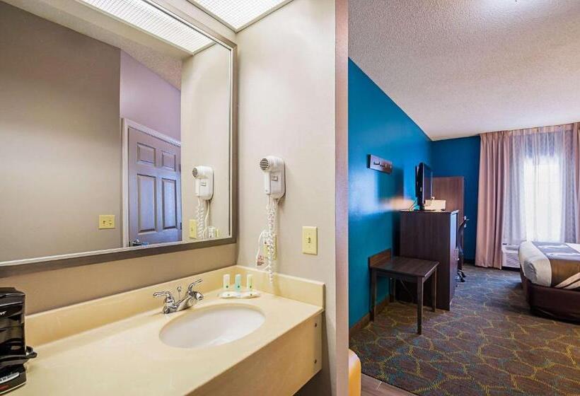 Стандартный Номер Кровать Кинг, Quality Inn Harrisonburg I81