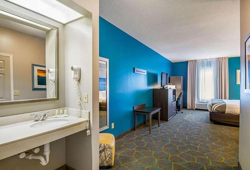 Номер Стандарт Кровать Кинг Адаптированный для Инвалидов, Quality Inn Harrisonburg I81