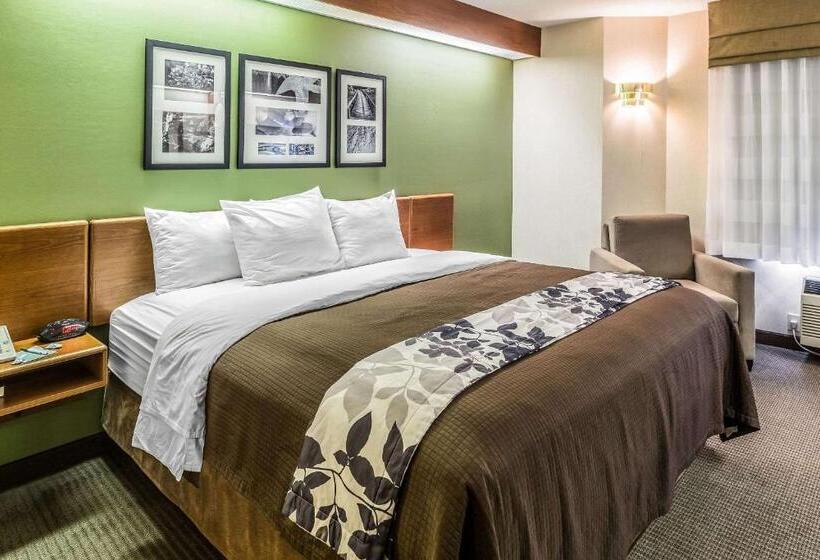 스탠다드 룸 킹사이즈 침대, Sleep Inn & Suites Bay View Acme   Traverse City