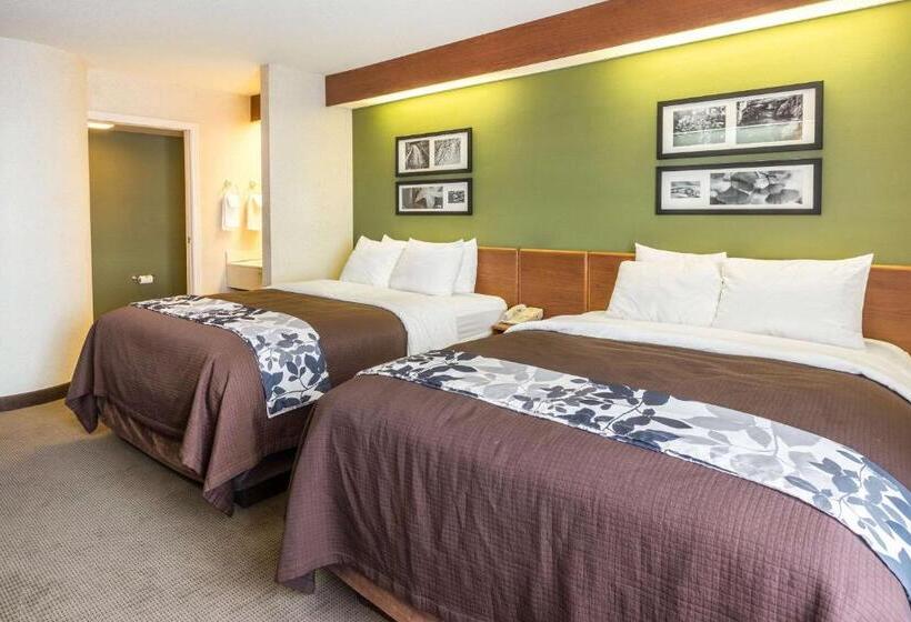 스탠다드 룸, Sleep Inn & Suites Bay View Acme   Traverse City