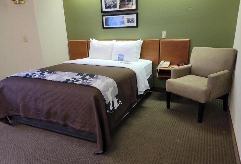 장애인을 위한 스탠다드 룸, Sleep Inn & Suites Bay View Acme   Traverse City