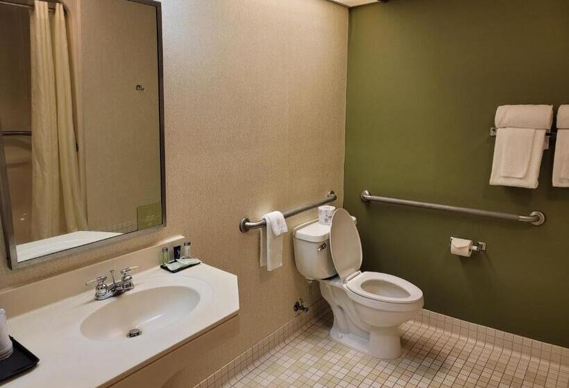 장애인을 위한 스탠다드 룸, Sleep Inn & Suites Bay View Acme   Traverse City