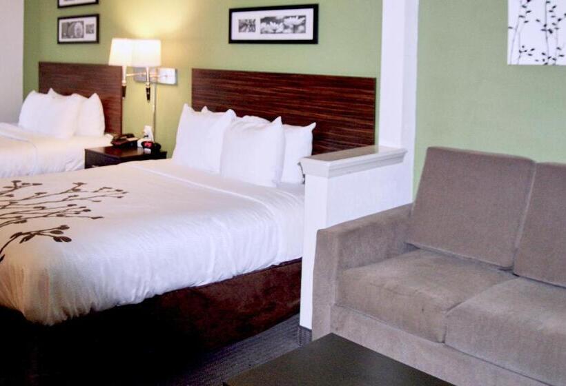 스탠다드 룸, Sleep Inn & Suites Stony Creek  Petersburg South