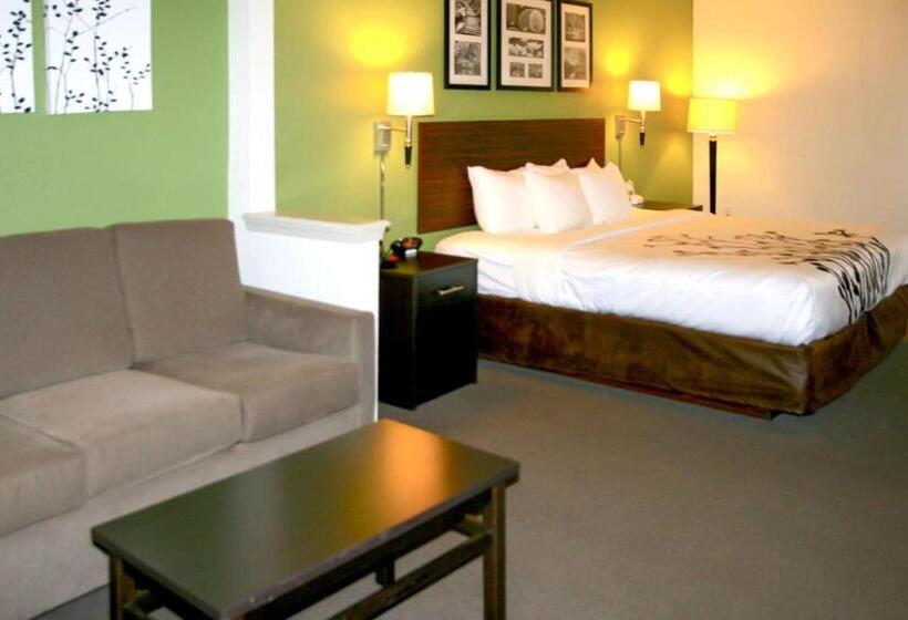 스위트 킹사이즈 침대, Sleep Inn & Suites Stony Creek  Petersburg South