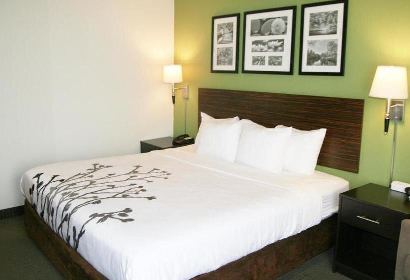 장애인을 위한 스위트, Sleep Inn & Suites Stony Creek  Petersburg South