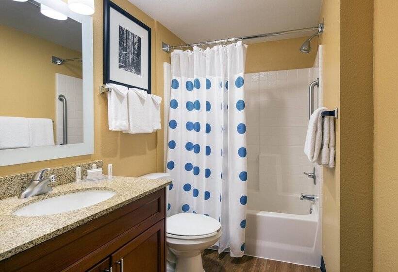Люкс, Towneplace Suites Milpitas Silicon Valley