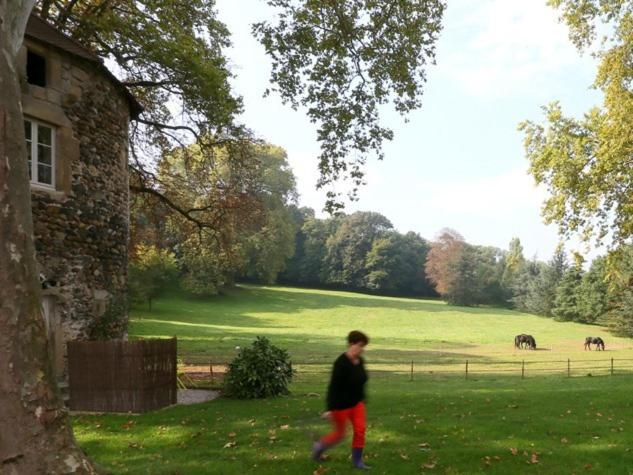 Номер Стандарт, Domaine La Bonne Etoile