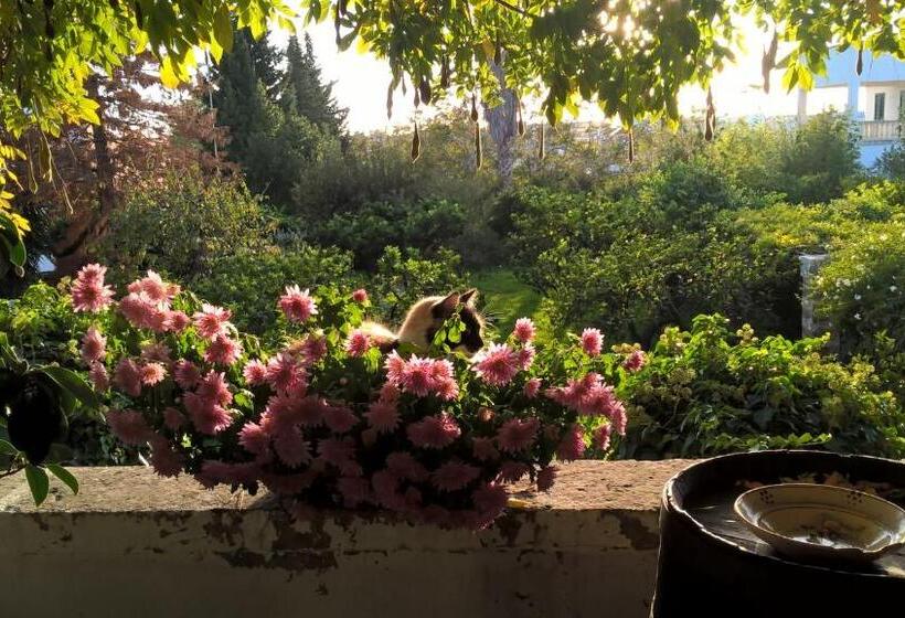 Номер Стандарт, Casale Del Forno