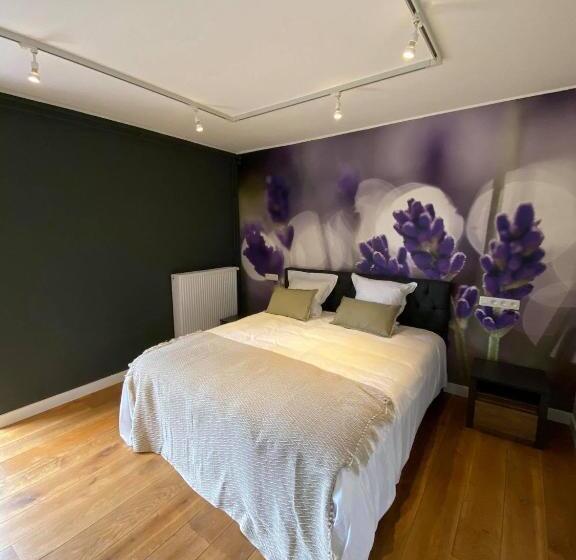 스탠다드 룸, B&b Het Doctershoes
