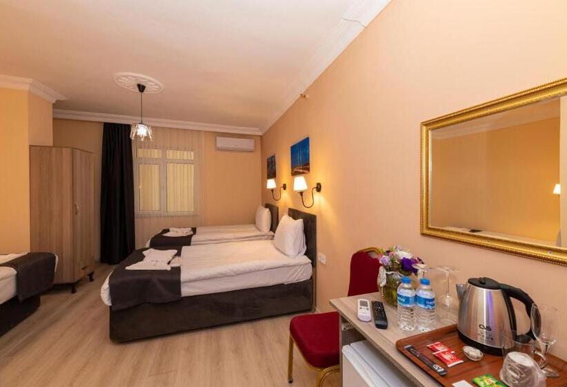 اتاق استاندارد سه نفره, Golden Flower Pansiyon