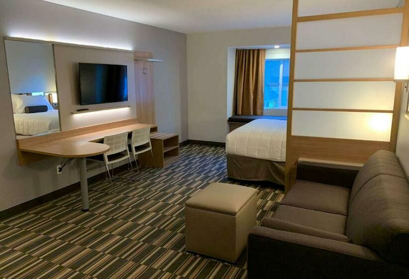 سوییت, Microtel Inn & Suites By Wyndham Georgetown Lake