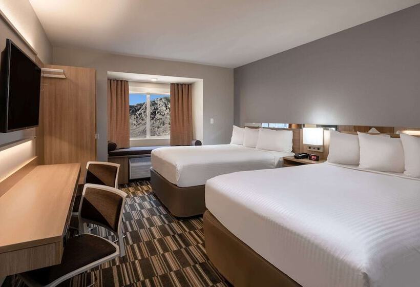 اتاق استاندارد با 2 تخت دوبل, Microtel Inn & Suites By Wyndham Georgetown Lake