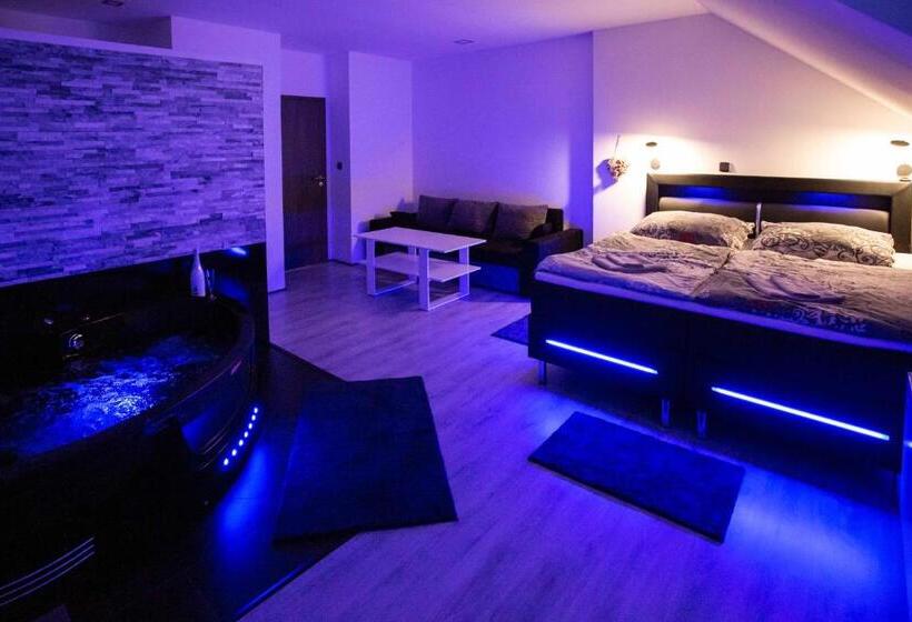 １ベッドルームのデラックスアパートメント, Apartmány U Solišů