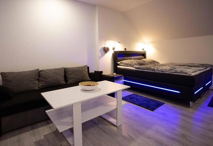 １ベッドルームのデラックスアパートメント, Apartmány U Solišů