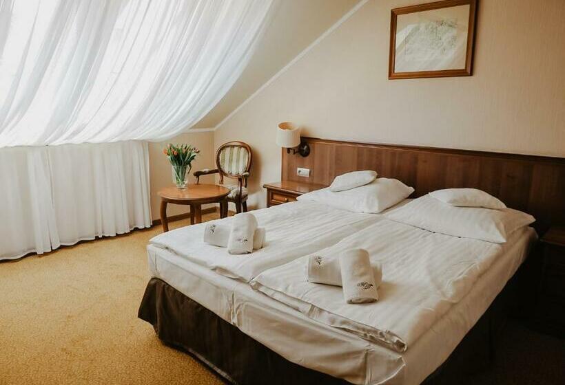 Номер Стандарт, Delfin Spa&wellness