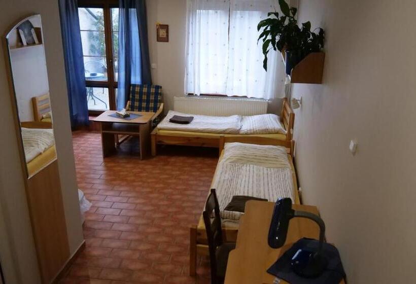 Номер Стандарт с Террасой, Penzion Na Hradbách