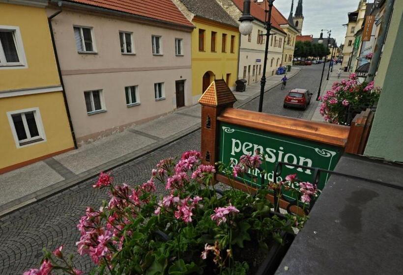 Номер Стандарт Трехместный, Penzion Na Hradbách