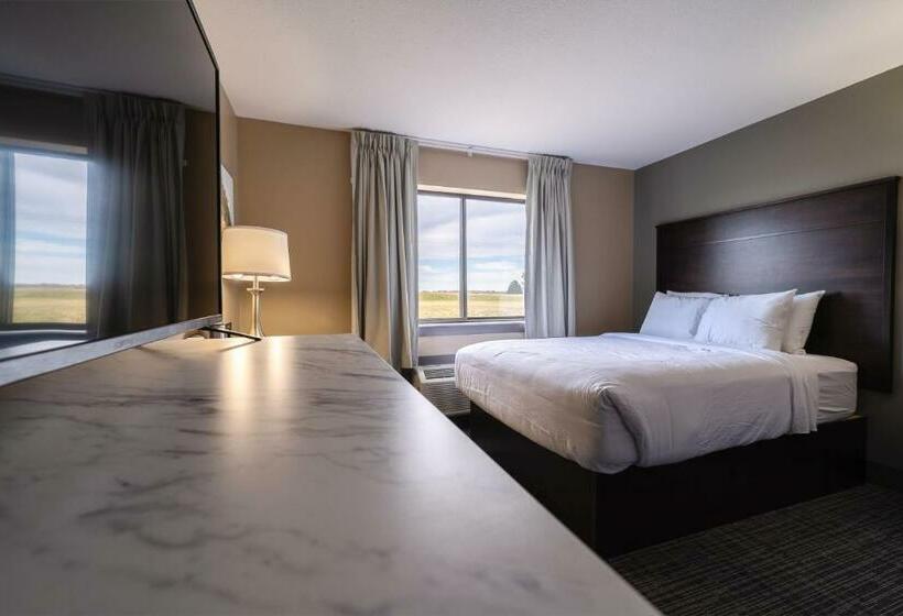 스탠다드 룸, Cobblestone Inn & Suites  Trenton