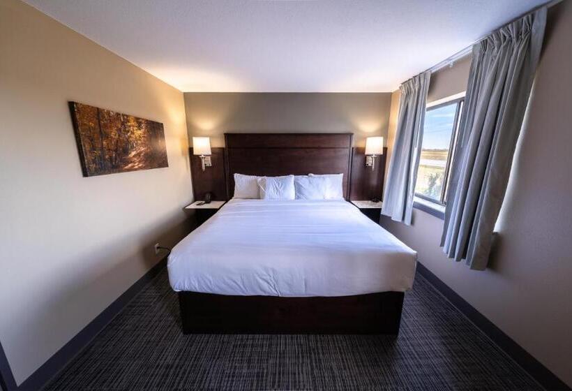 스탠다드 스튜디오 킹침대, Cobblestone Inn & Suites  Trenton