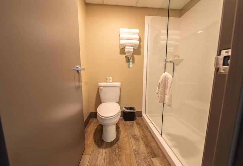 스탠다드 스튜디오, Cobblestone Inn & Suites  Trenton