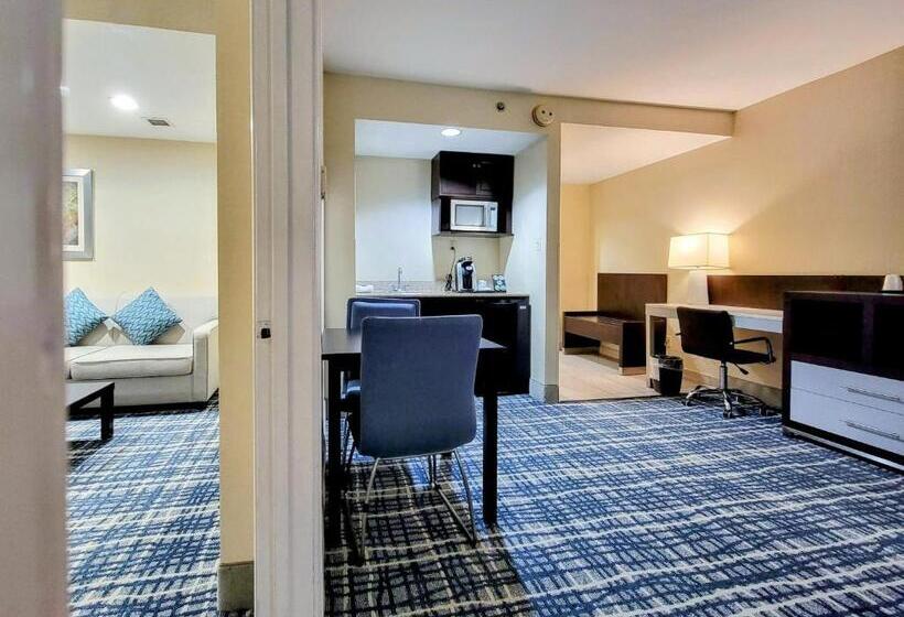 스위트 킹사이즈 침대, Holiday Inn   Belcamp   Aberdeen Area, An Ihg