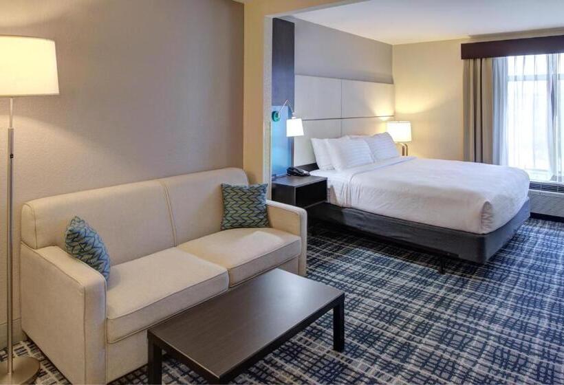 스탠다드 룸 킹사이즈 침대, Holiday Inn   Belcamp   Aberdeen Area, An Ihg