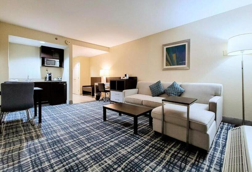 이그제큐티브 스위트, Holiday Inn   Belcamp   Aberdeen Area, An Ihg