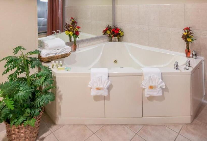 스위트 킹사이즈 침대, Holiday Inn   Belcamp   Aberdeen Area, An Ihg