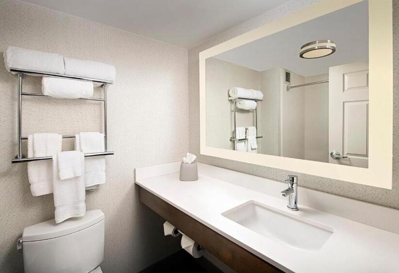 스위트 킹사이즈 침대, Holiday Inn Express & Suites Baltimore   Bwi Airport North, An Ihg