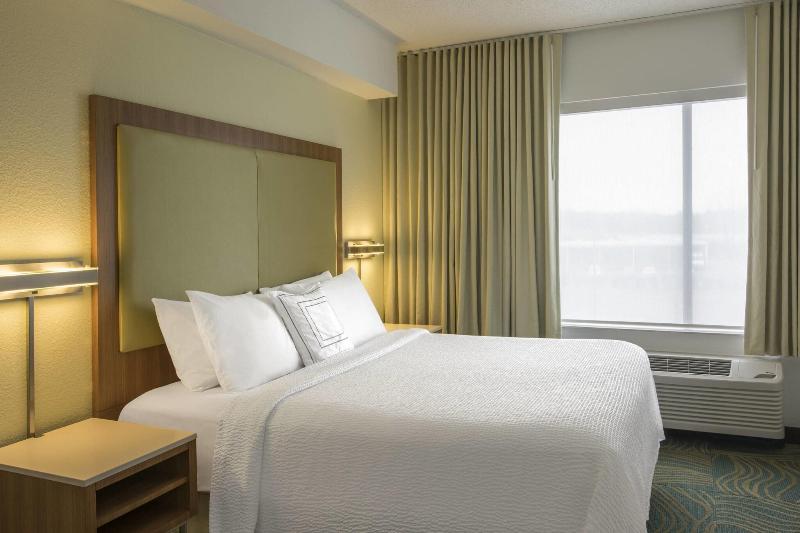 استودیو استاندارد با تخت کینگ, Springhill Suites By Marriott Charlotte Airport