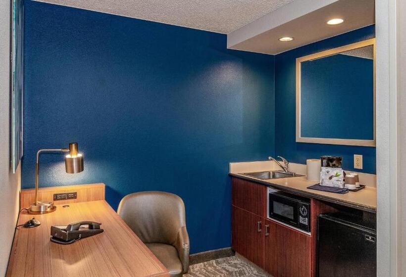Люкс Адаптированный для Инвалидов, Springhill Suites By Marriott Fairbanks