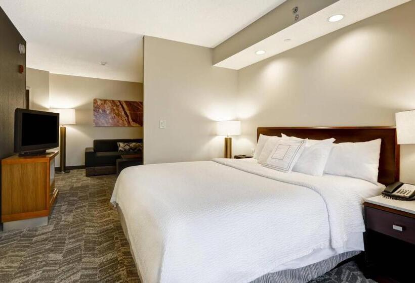 سوئیت با تخت بزرگ, Springhill Suites Lexington Near The University Of Kentucky