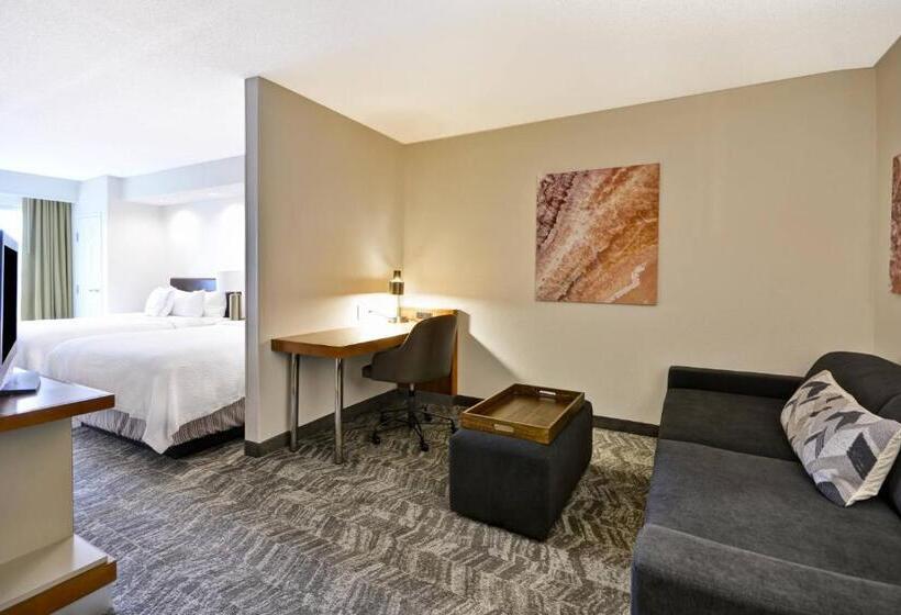 سوییت, Springhill Suites Lexington Near The University Of Kentucky