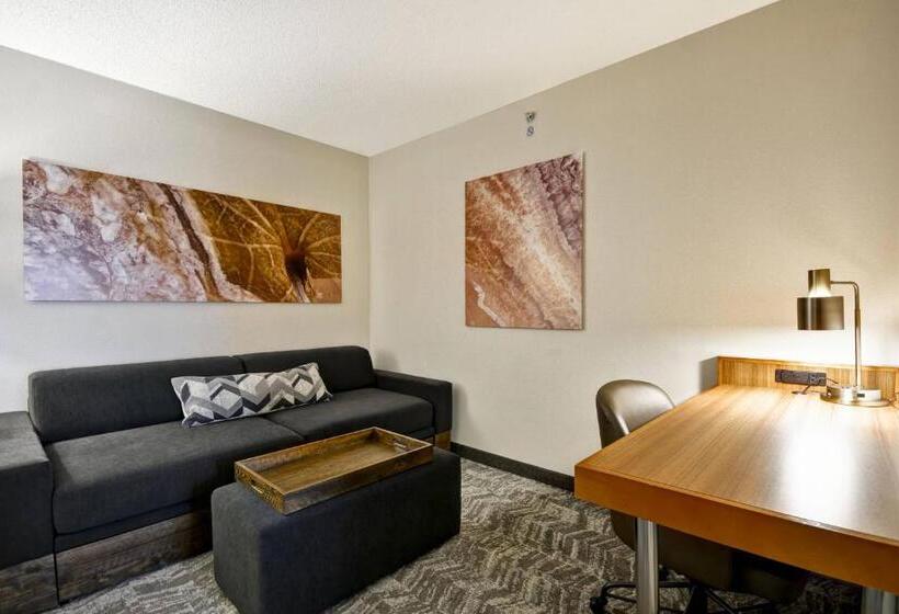 اتاق سوپریور, Springhill Suites Lexington Near The University Of Kentucky