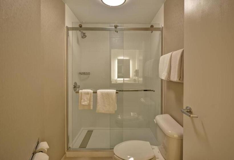 سوئیت برای معلولان, Springhill Suites Lexington Near The University Of Kentucky