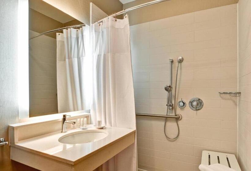 سوئیت برای معلولان, Springhill Suites Lexington Near The University Of Kentucky