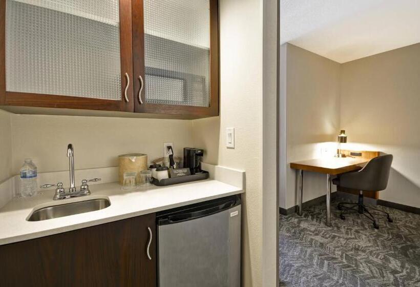 سوئیت برای معلولان, Springhill Suites Lexington Near The University Of Kentucky