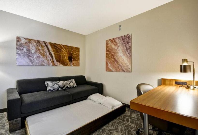 سوئیت برای معلولان, Springhill Suites Lexington Near The University Of Kentucky