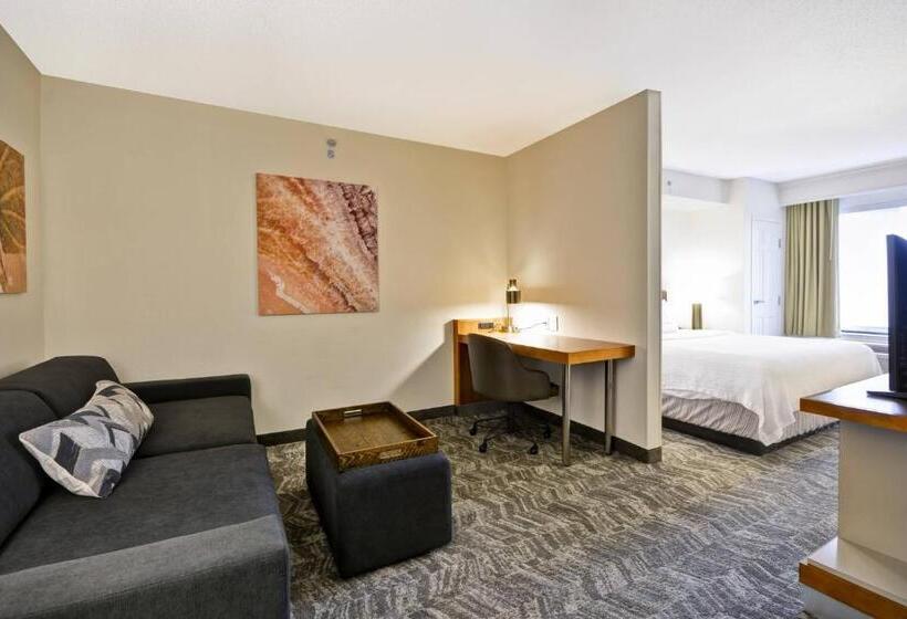 سوئیت برای معلولان, Springhill Suites Lexington Near The University Of Kentucky