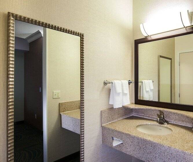套房, Springhill Suites By Marriott Sacramento Natomas