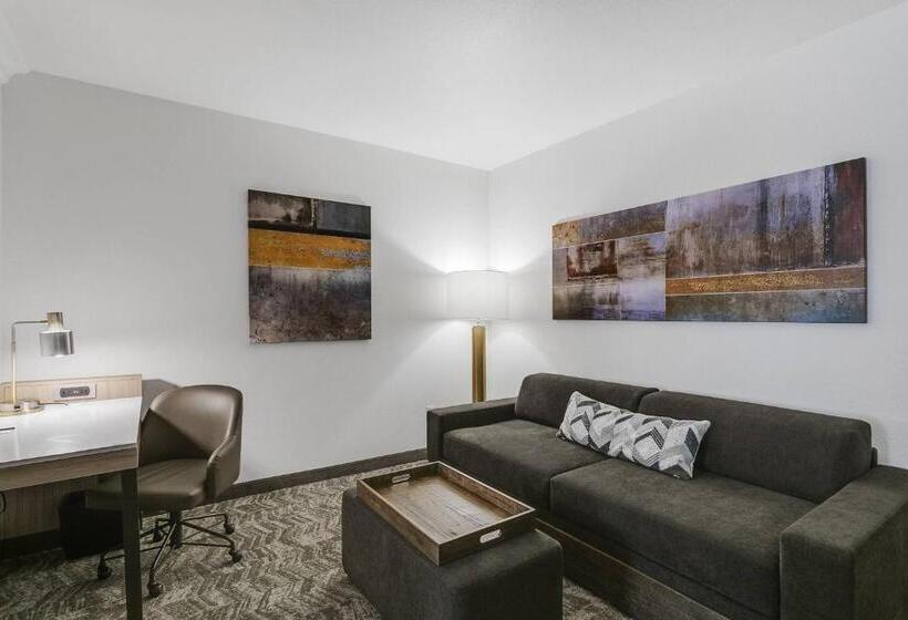 带大床的套房, Springhill Suites By Marriott Sacramento Natomas