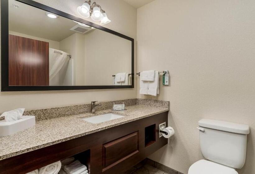 Люкс, Comfort Inn & Suites Morgan