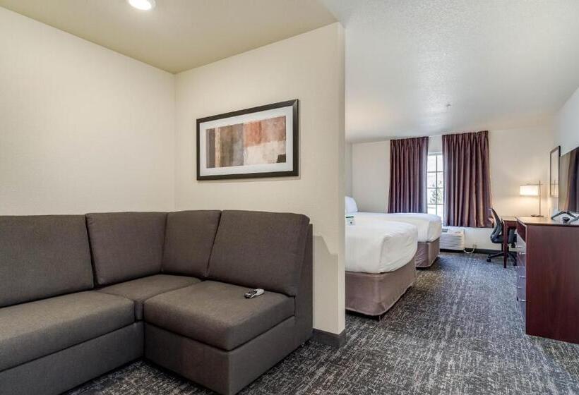 Студия Стандарт, Comfort Inn & Suites Morgan