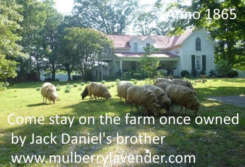 豪华房间, Mulberry Lavender Farm And B&b