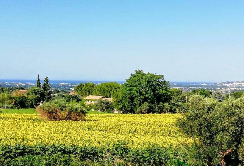 استودیو خانوادگی, Agriturismo Rosa Antica