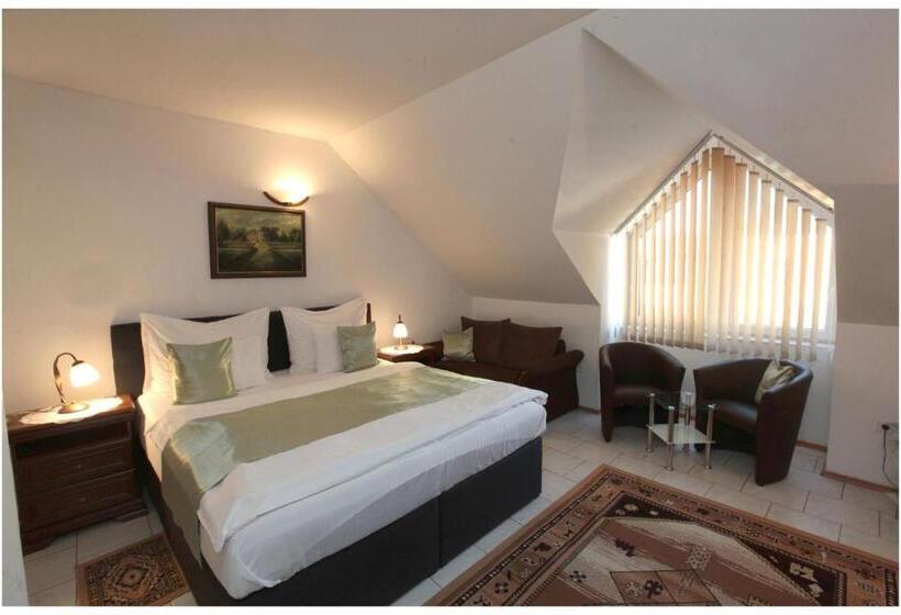 اتاق استاندارد, Restaurant Penzion U Buchlovskeho Zamku