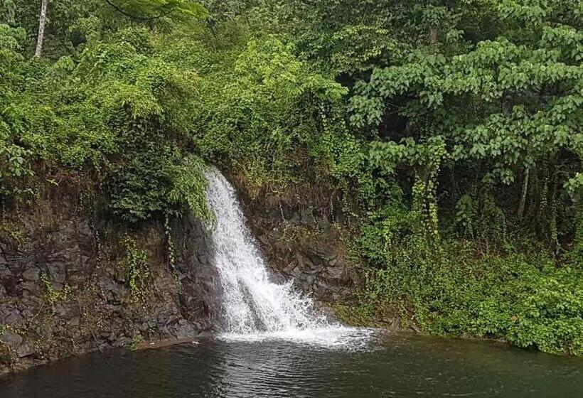 디럭스 룸, Athirapally Green Trees