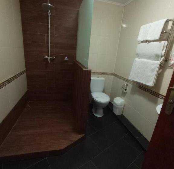 패밀리 룸, Volyn Hotel Ludmir