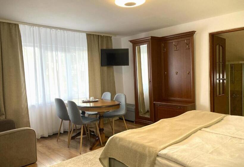 스탠다드 룸, Pensiunea Casa Stefanel