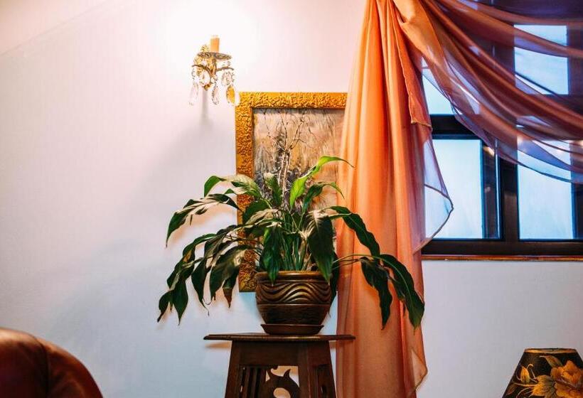 디럭스 전망 룸, Antique House